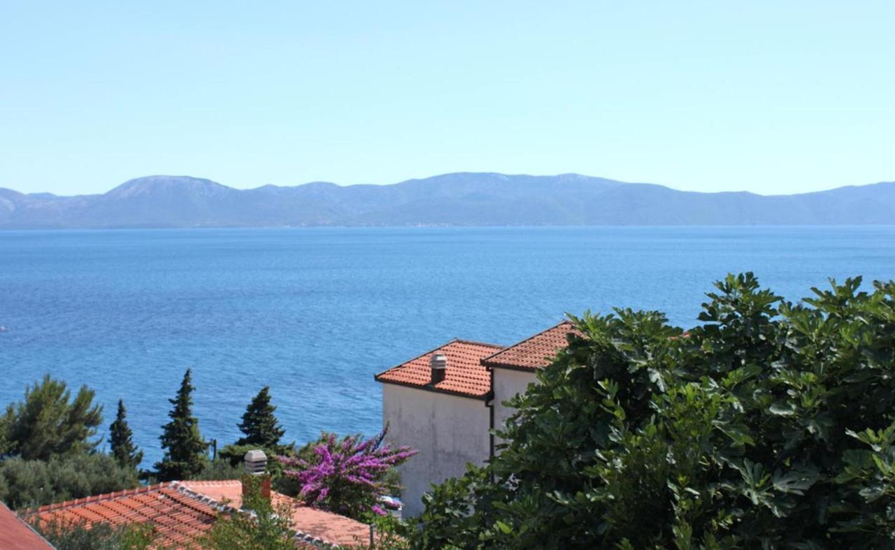 Vila Stefan Otel Podaca Dış mekan fotoğraf
