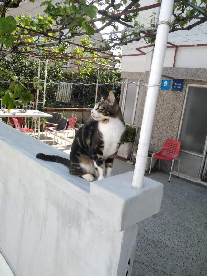 Vila Stefan Otel Podaca Dış mekan fotoğraf